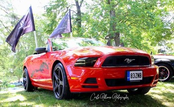 Mati Terestal: 2012 Mustang V6 Convertible