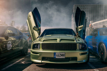 Kermo Sinimägi: 2005 Mustang V6 Loud Turtle