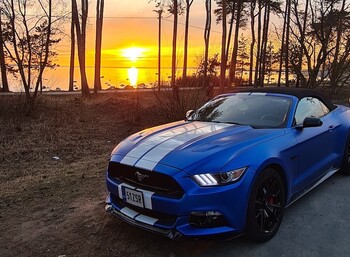Eesti Mustangi Klubi liikme Mustang, foto 11
